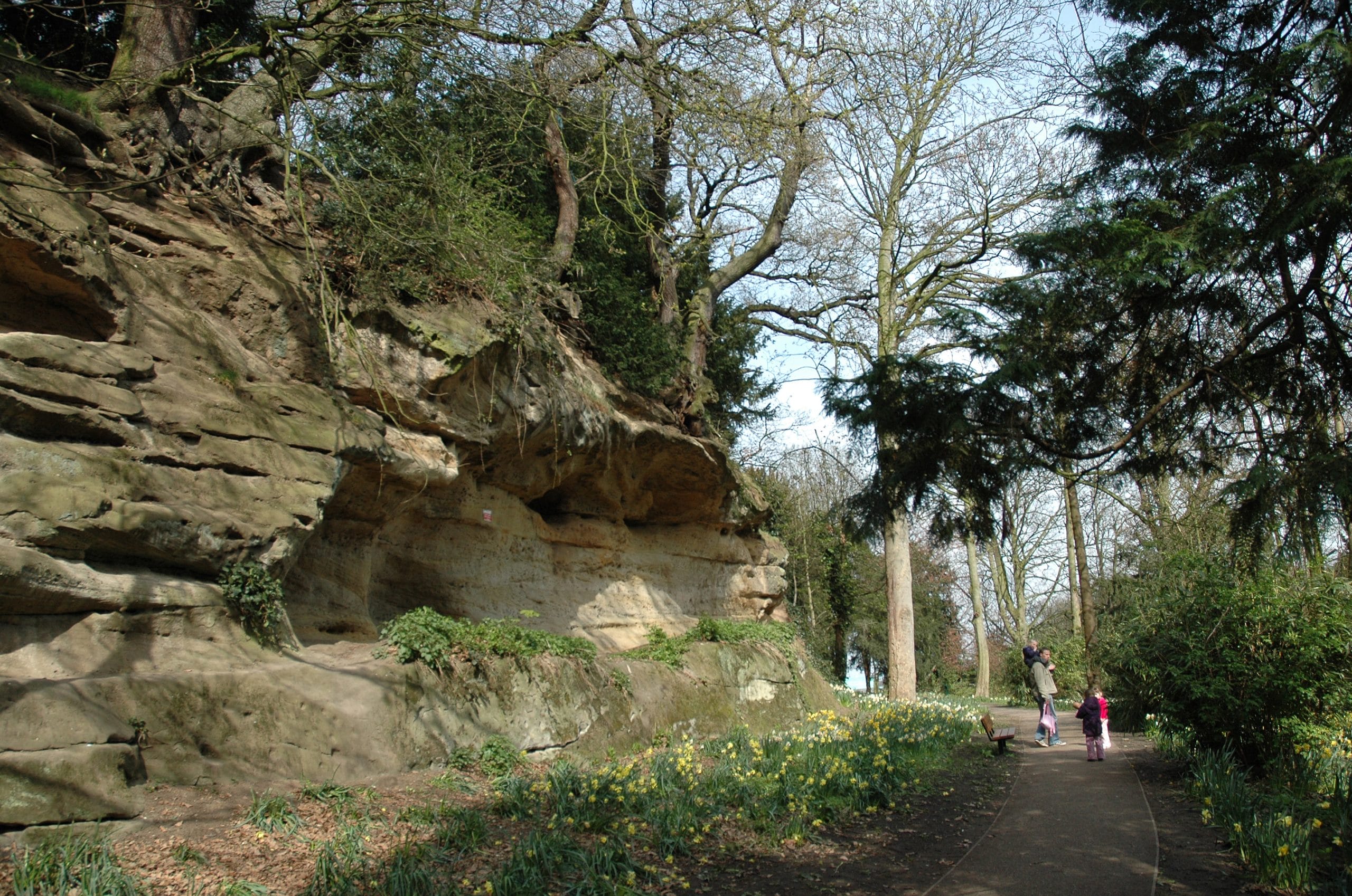 Rocky outcrop surrounded by trees in Highfield Park