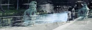 A black and white photo of stone lions at the front of a lake