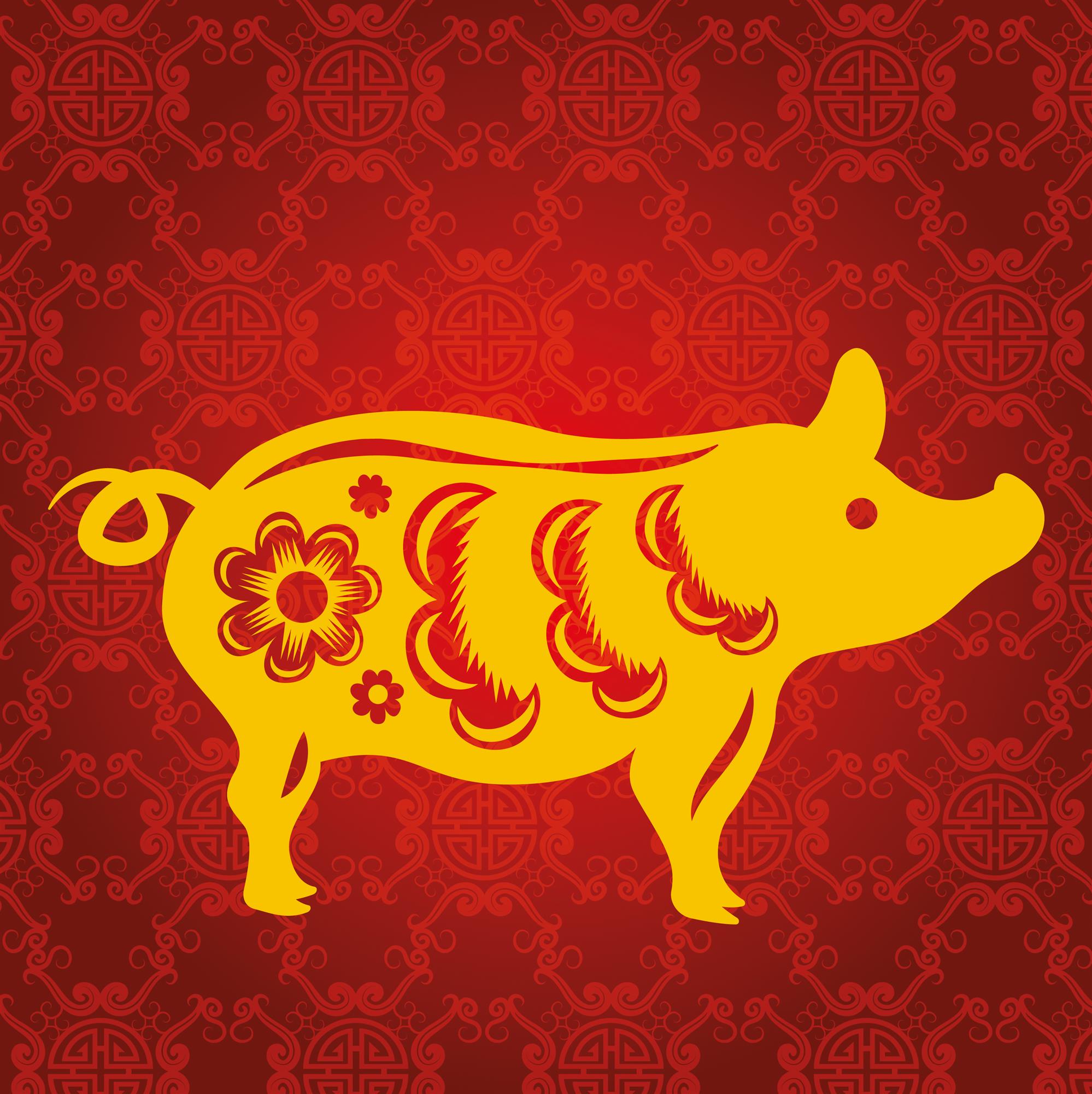Red and yellow Chinese style illustration of a boar