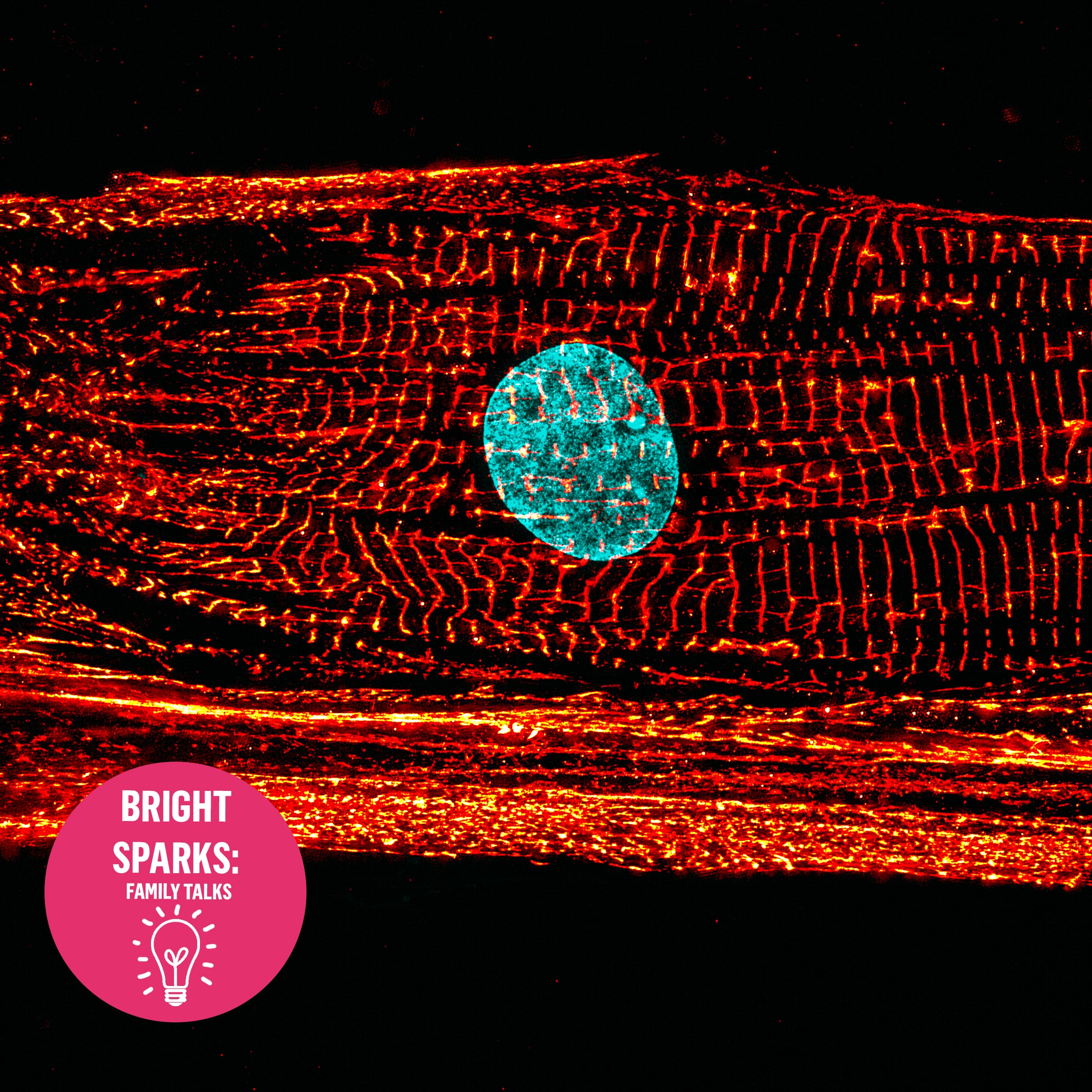 A closeup of a heart cell with a badge on it saying bright sparks talks