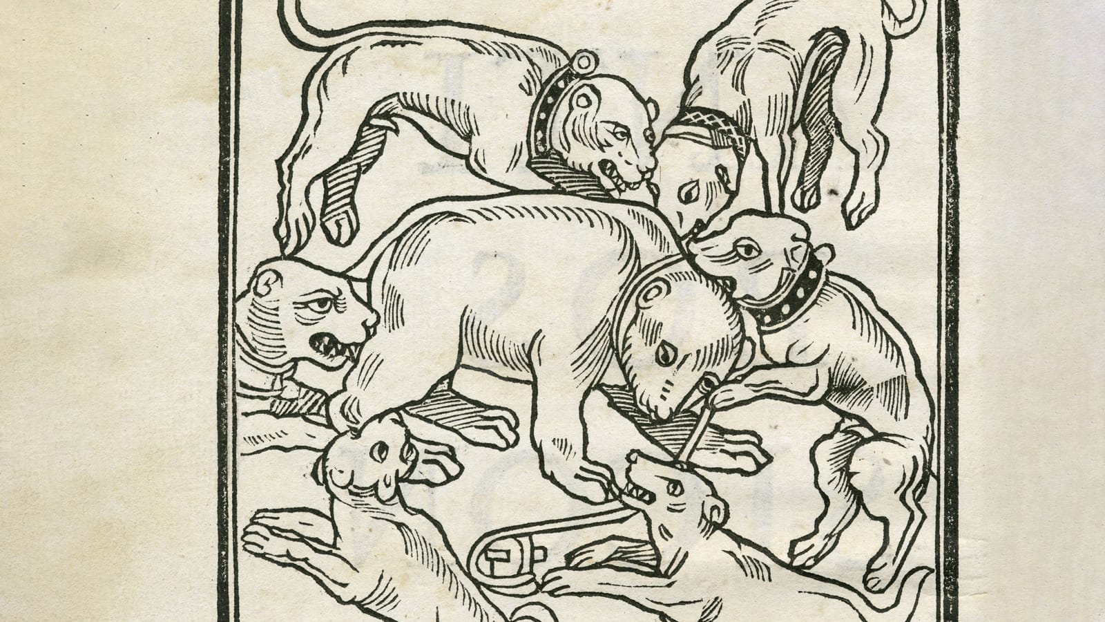 An illustration of dogs and bears