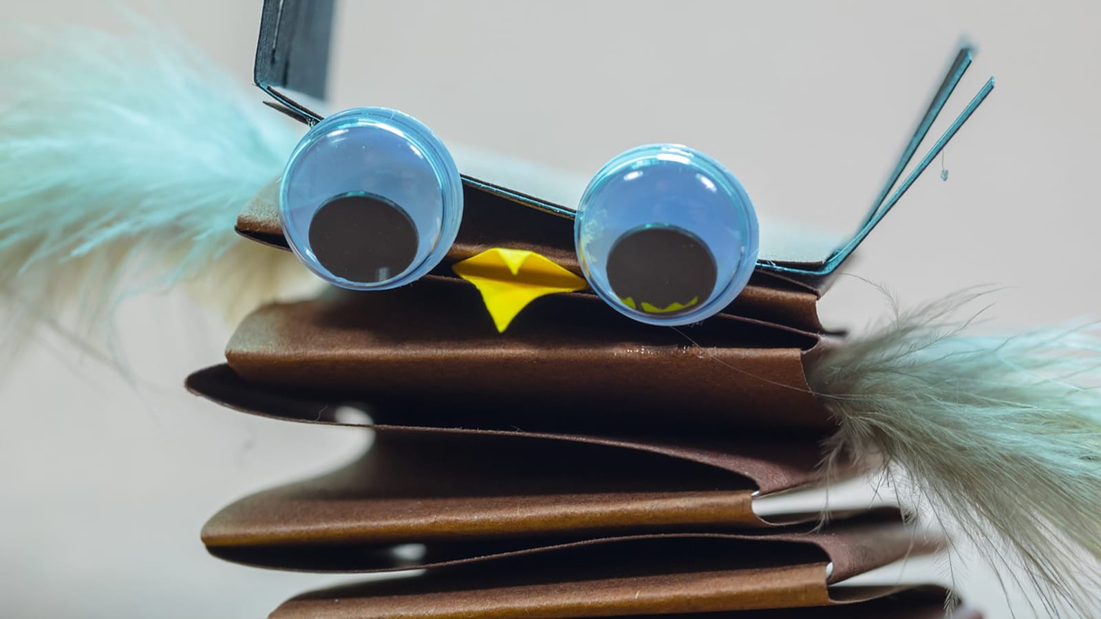 a concertina bird with blue feathers