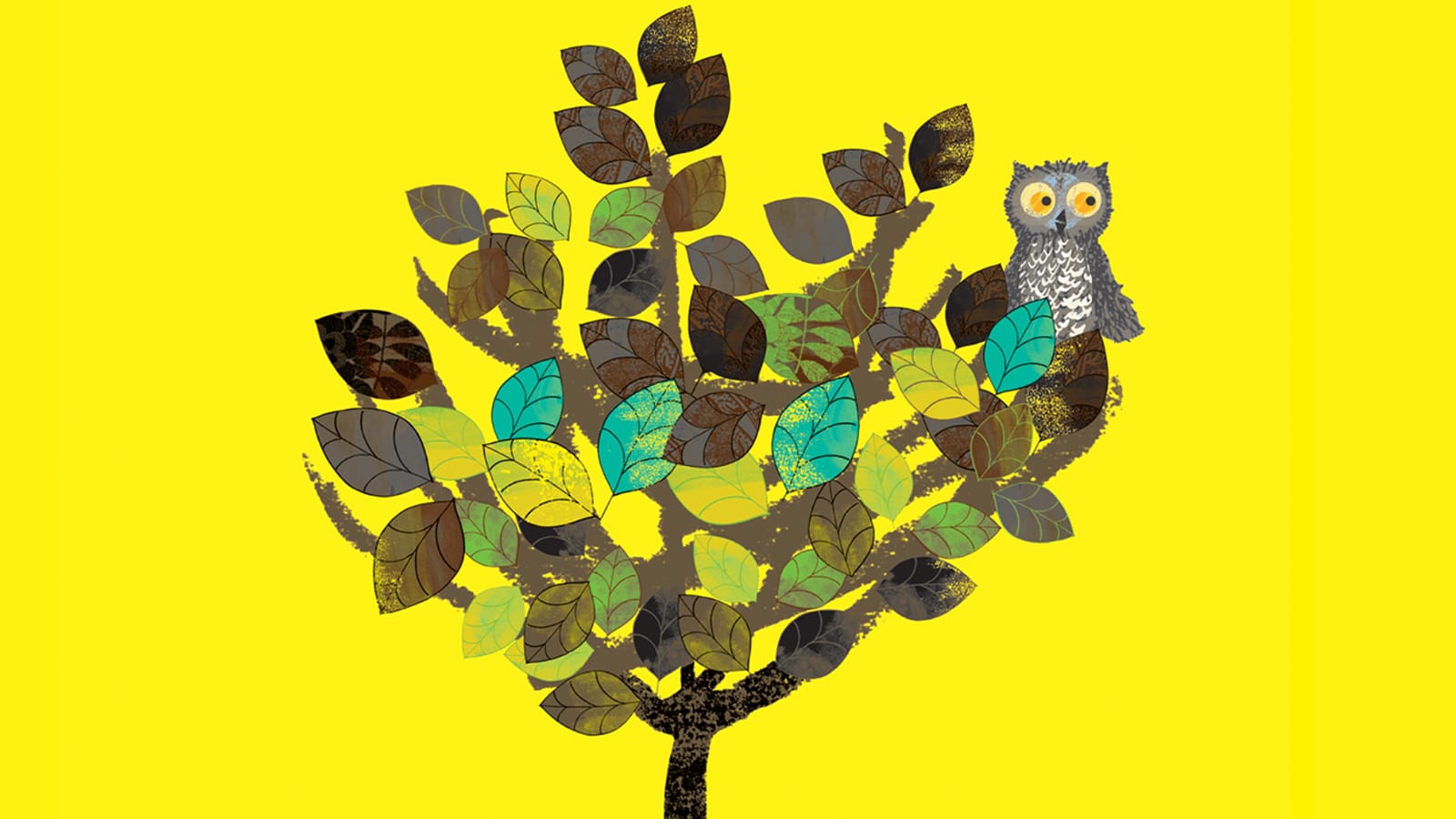 A yellow background with an illustration of an owl in a tree