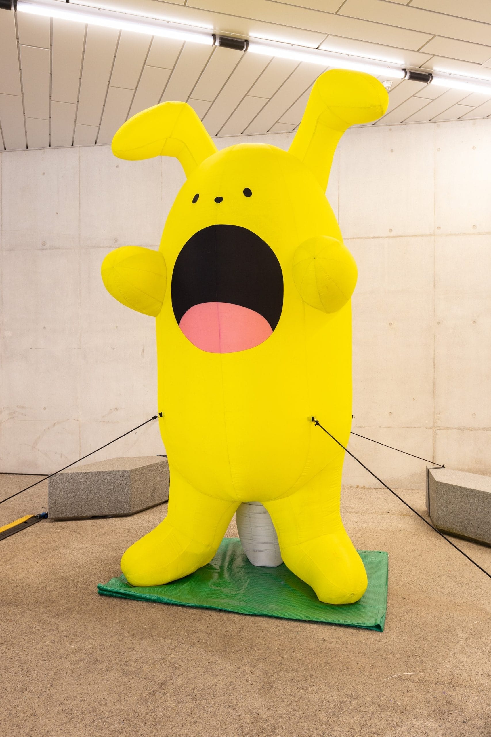 Big inflatble yellow bunny in white light room