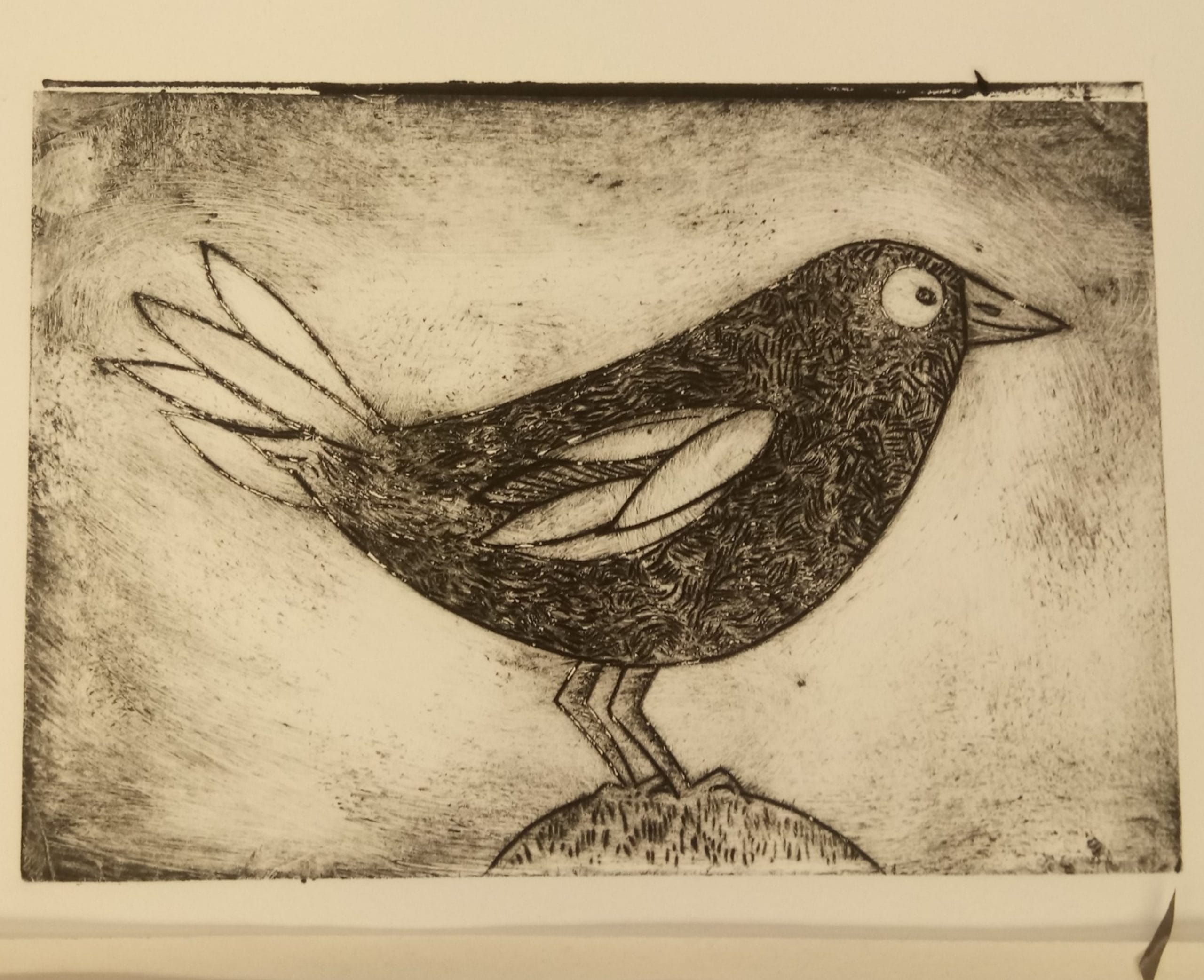 a picture of a black and white print of a blackbird made with intaglio printmaking technique