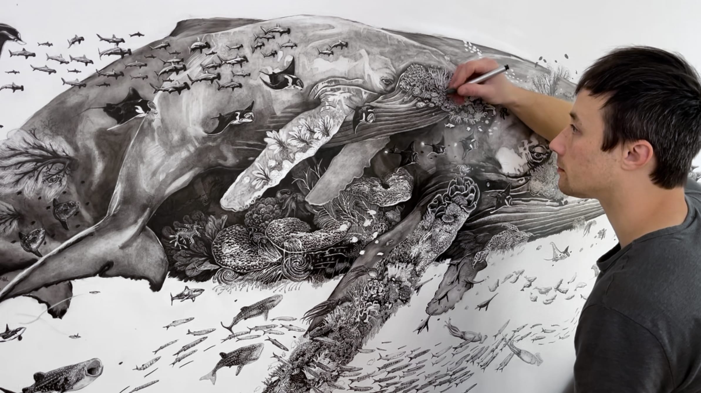 A male artist drawing a black and white whale