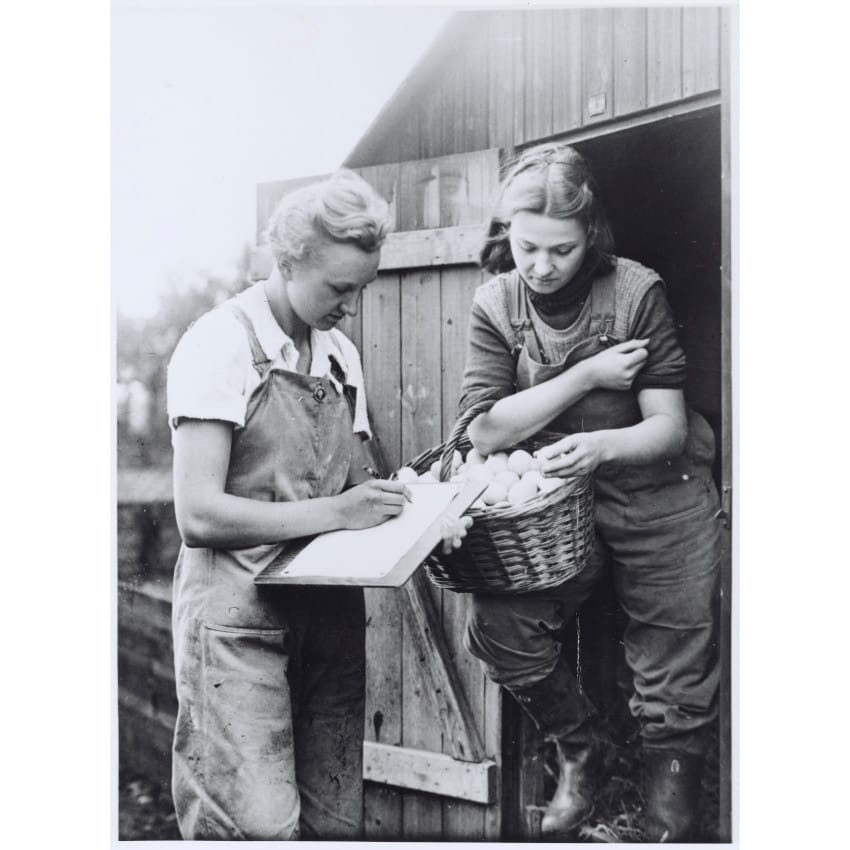 Land Army girls egg collecting at Sutton Bonington campus in 1939