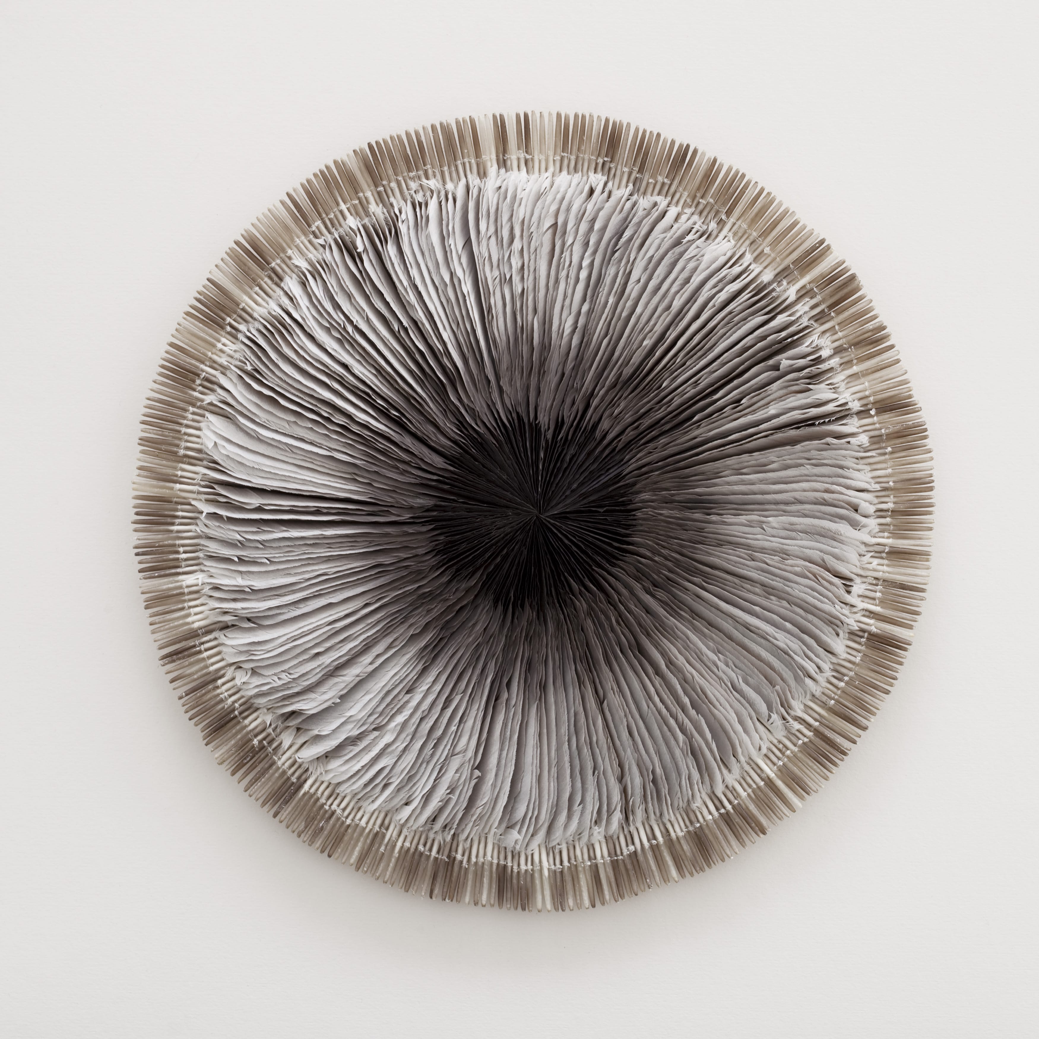 Quiver - a piece of artwork by Kate MccGwire.