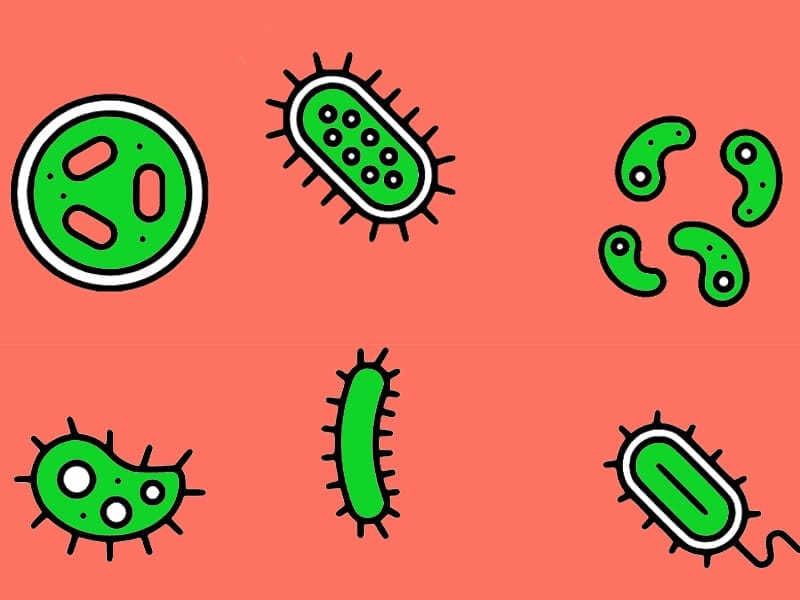 doodle of green viruses and bacteria on an orange background