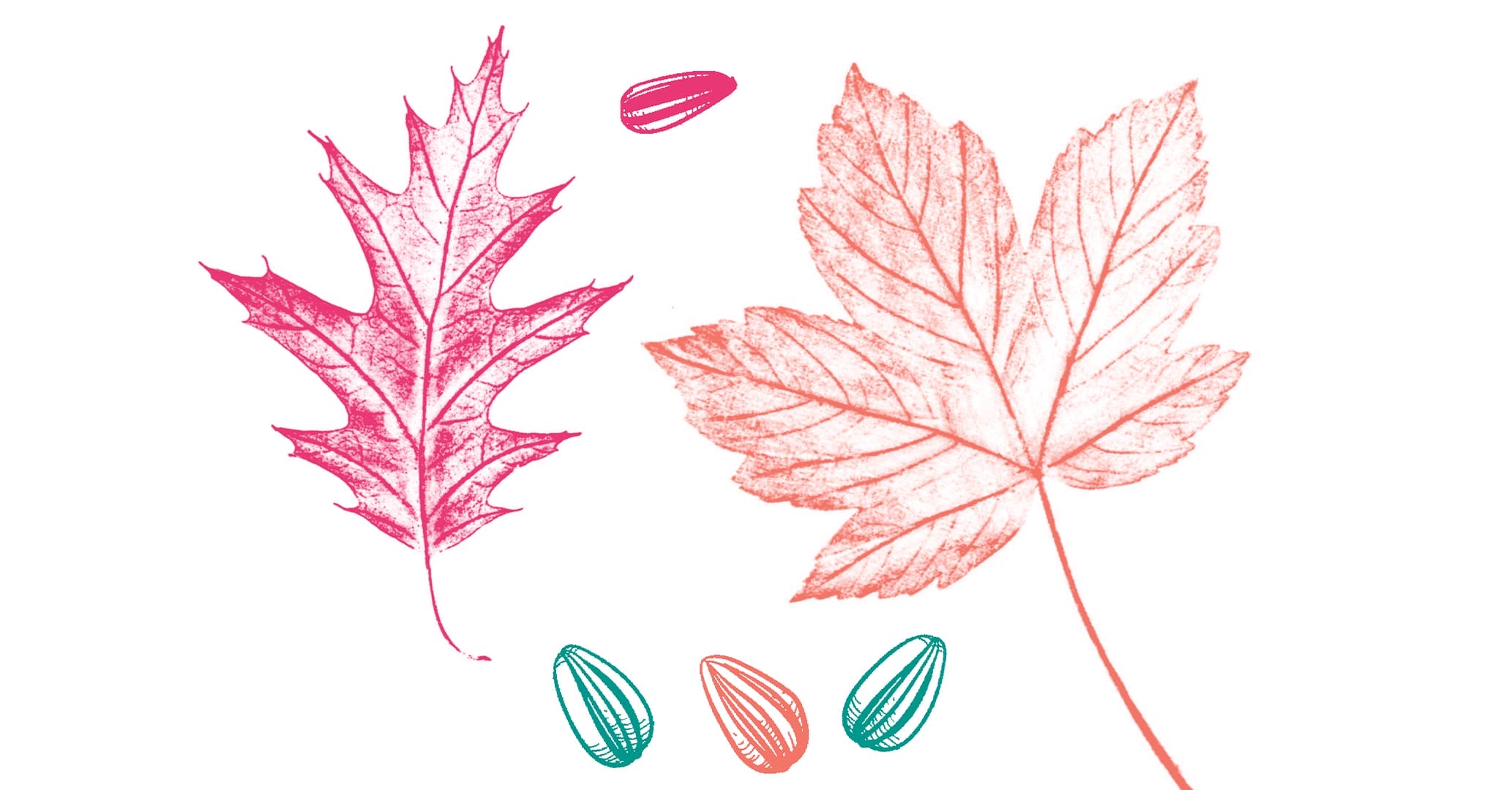 An image of printed leaves in bright colours