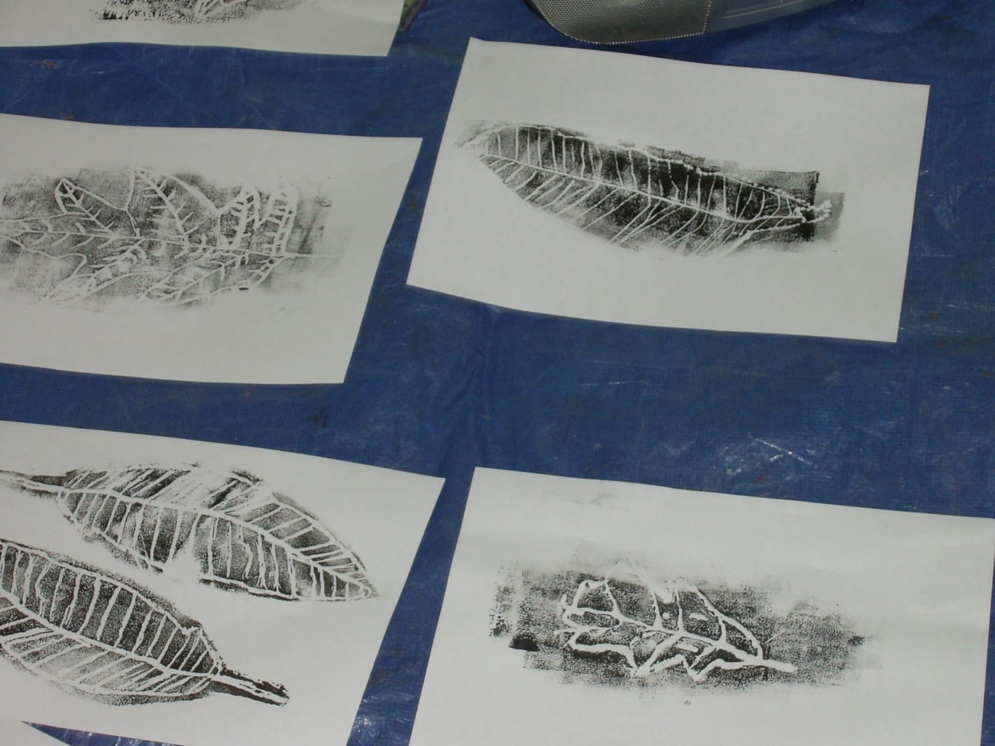 Black ink prints of leaves on white paper