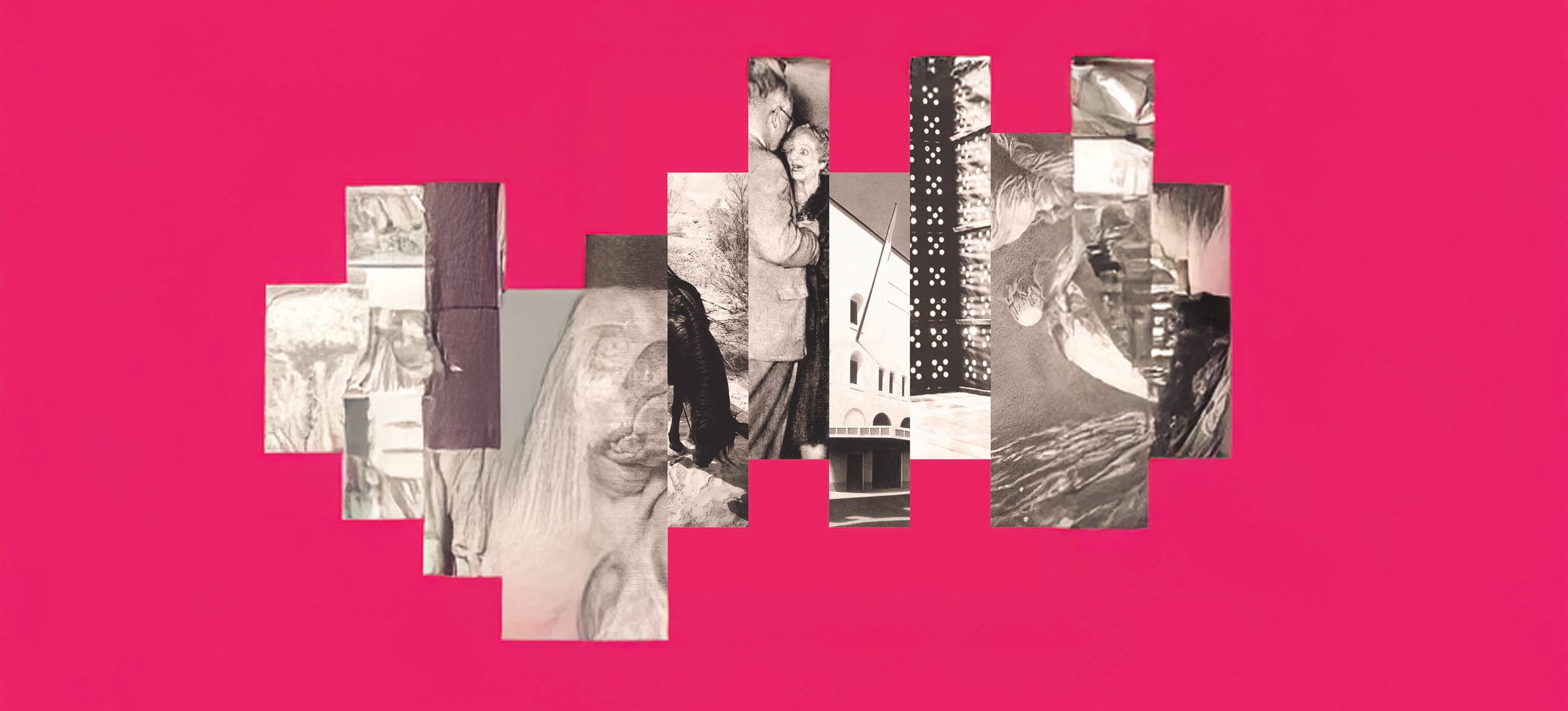 Sections of pencil drawings, lined up but different heights. On a pink background.